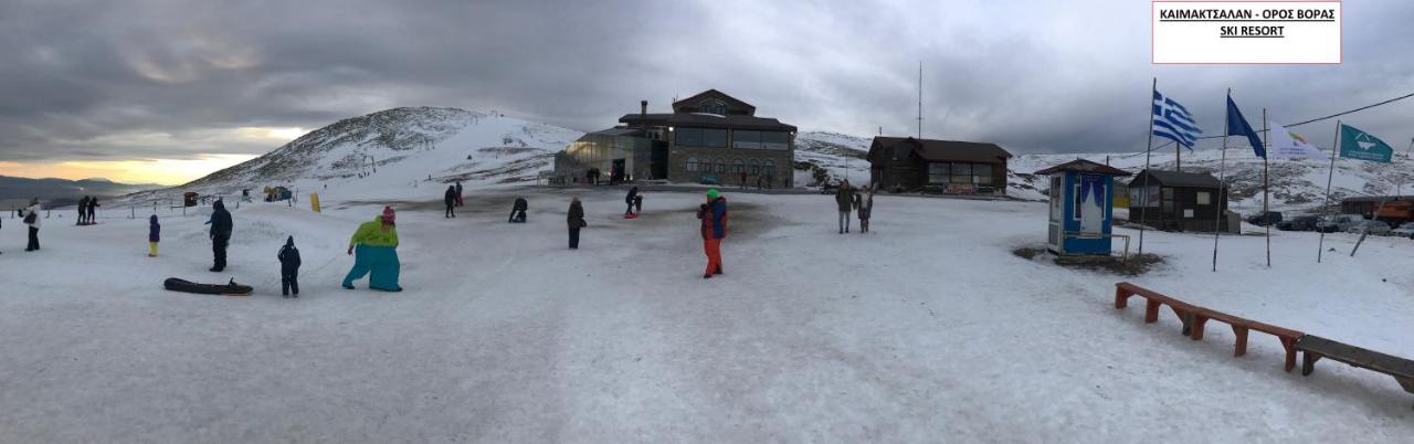 Villa Paradisos Likostomon Екстер'єр фото
