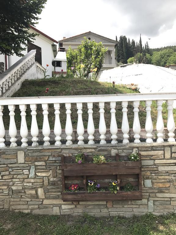 Villa Paradisos Likostomon Екстер'єр фото